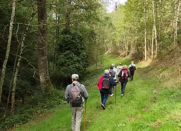 Chemin à travers les près de Cambon du Temple