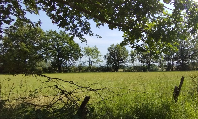 A travers prairies et bocage