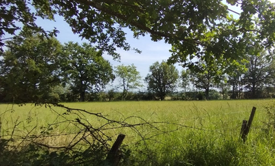 A travers prairies et bocage