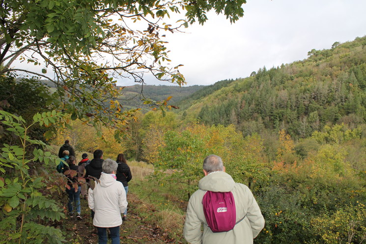 Descente vers le ruisseau des Oules