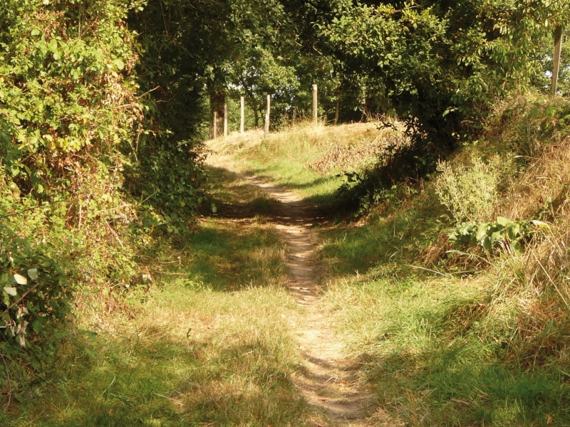 "La Gaugne", du mot occitan "gaulha" signifie "marais en bordure du ruisseau" et l'eau n'est jamais très loin sur ce parcours.!