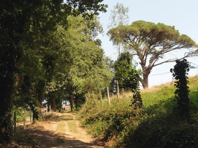 Des paysages contrastés : prairies, vignobles, lacs collinaires ou vallons boisés avec de belles vues sur l'Albigeois