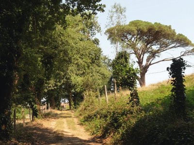 Des paysages contrastés : prairies, vignobles, lacs collinaires ou vallons boisés avec de belles vues sur l'Albigeois