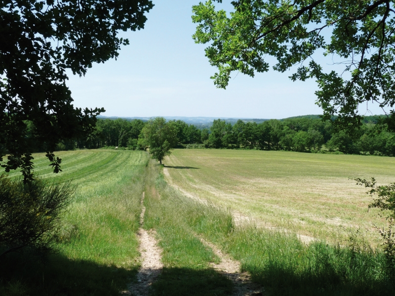 Ce parcours composé de 2 boucles offre une randonnée alternant cultures, prairies et sous-bois.
