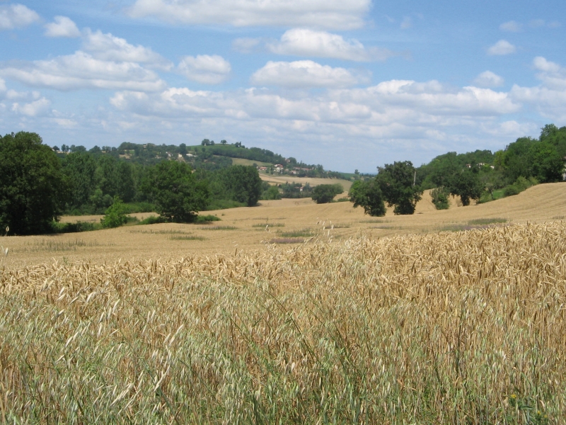 La ligne de crête de Saliès offre d'agréables points de vue sur les vallons.