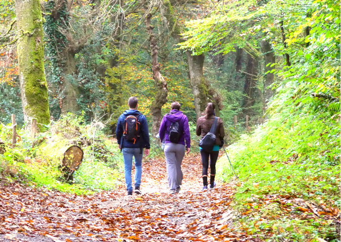 Marche dans la forêt des Malous
