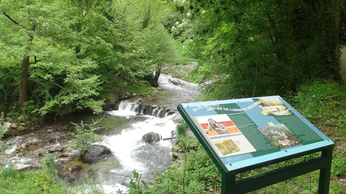 L'Arnette