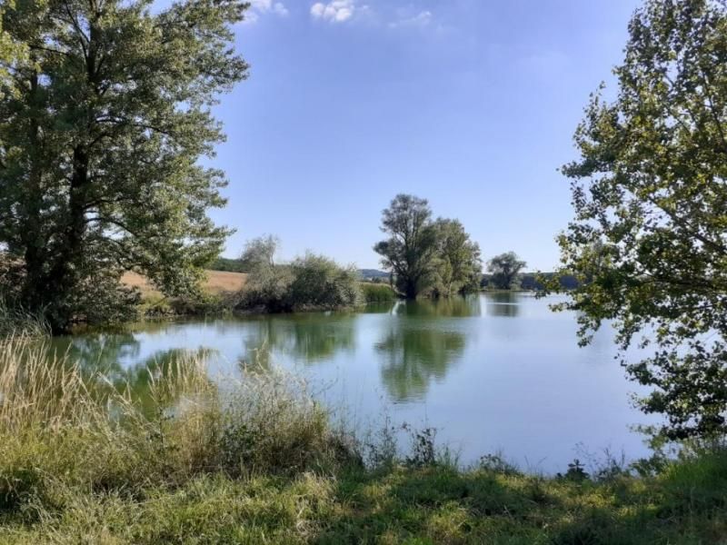Lac