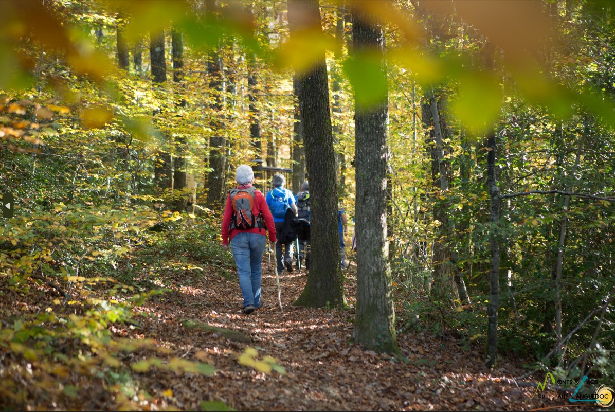 Sur le chemin du sommet de rouayras