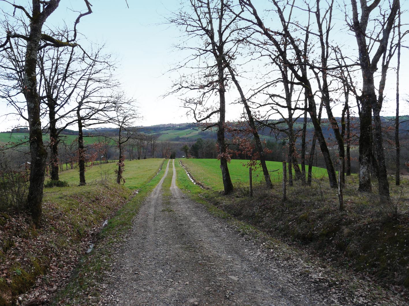 Chemin au milieu des champs