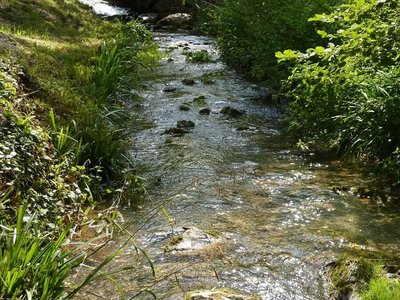 ruisseau des Avaris