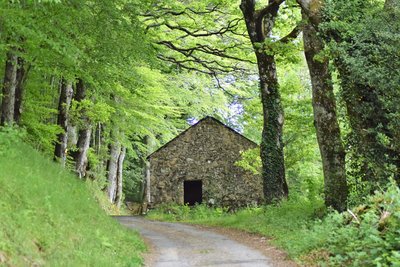 Sur le chemin de Lacanale à Rouvière
