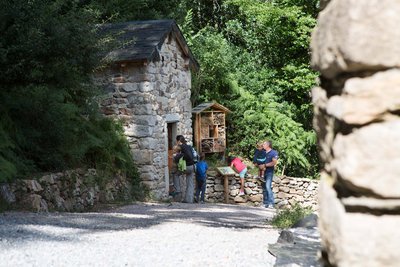 Les termes de Tsaquarello