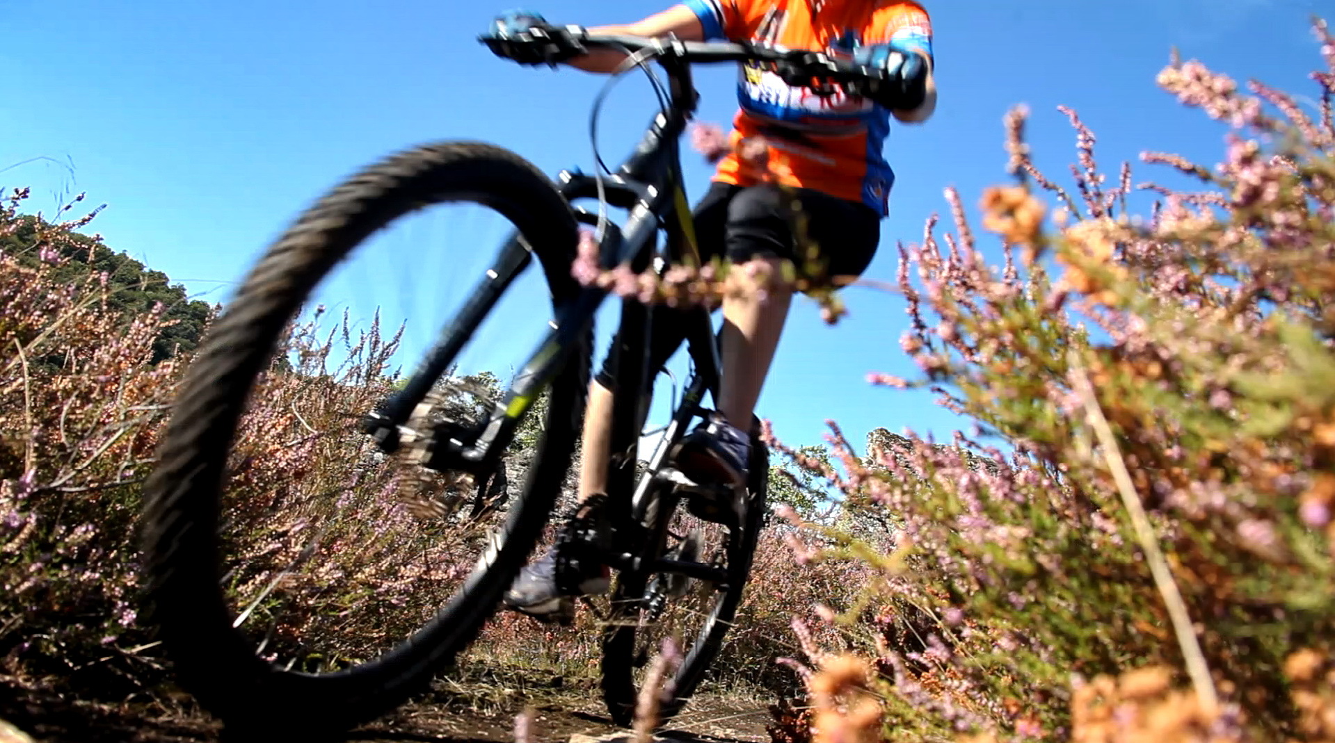 VTTiste cheminant dans un sentier fleuri