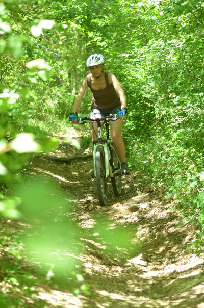 En foret