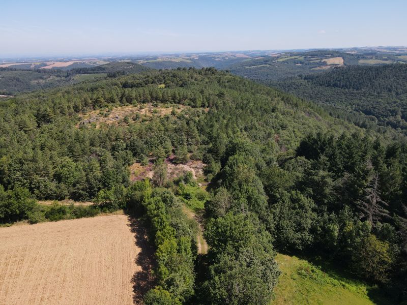 Chemin vers le château de Montredon