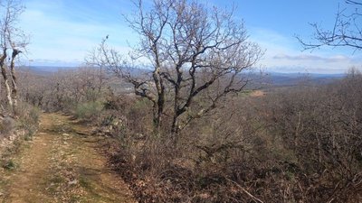 Chemin de Bonnan