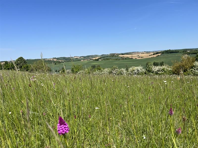 Vue alentour de Rabastens