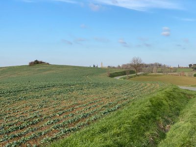 Environs de Rabastens