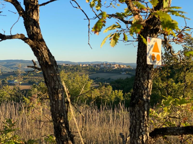 Vue de Castelnau de Montmiral