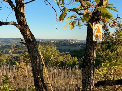 Vue de Castelnau de Montmiral