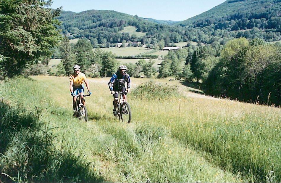 Dans les sous bois d'Anglès