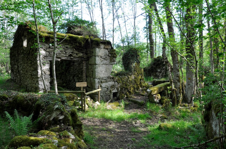 Ruines de Sicardens