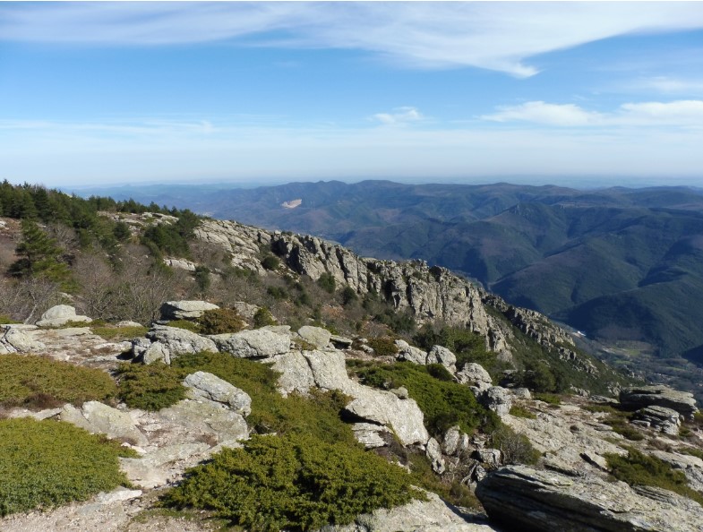 Vue du sommet du caroux