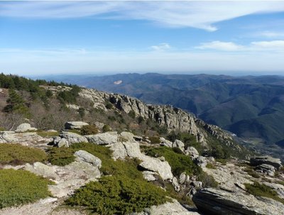 Vue du sommet du caroux