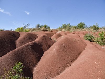 Les dunes de Maraval