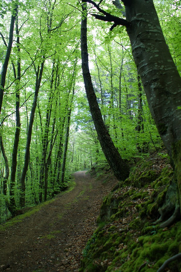 Sentier des Cayrans