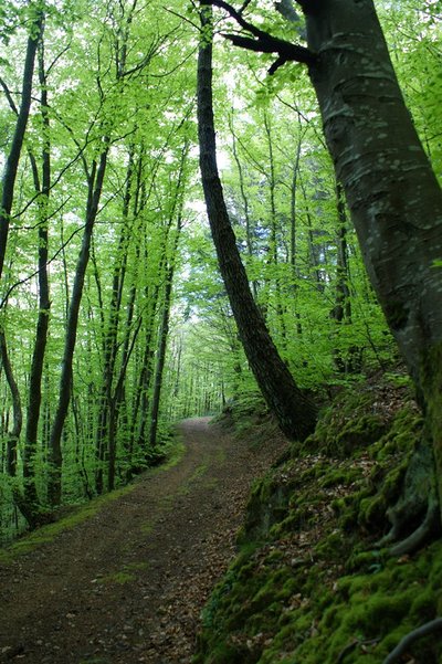 Sentier des Cayrans