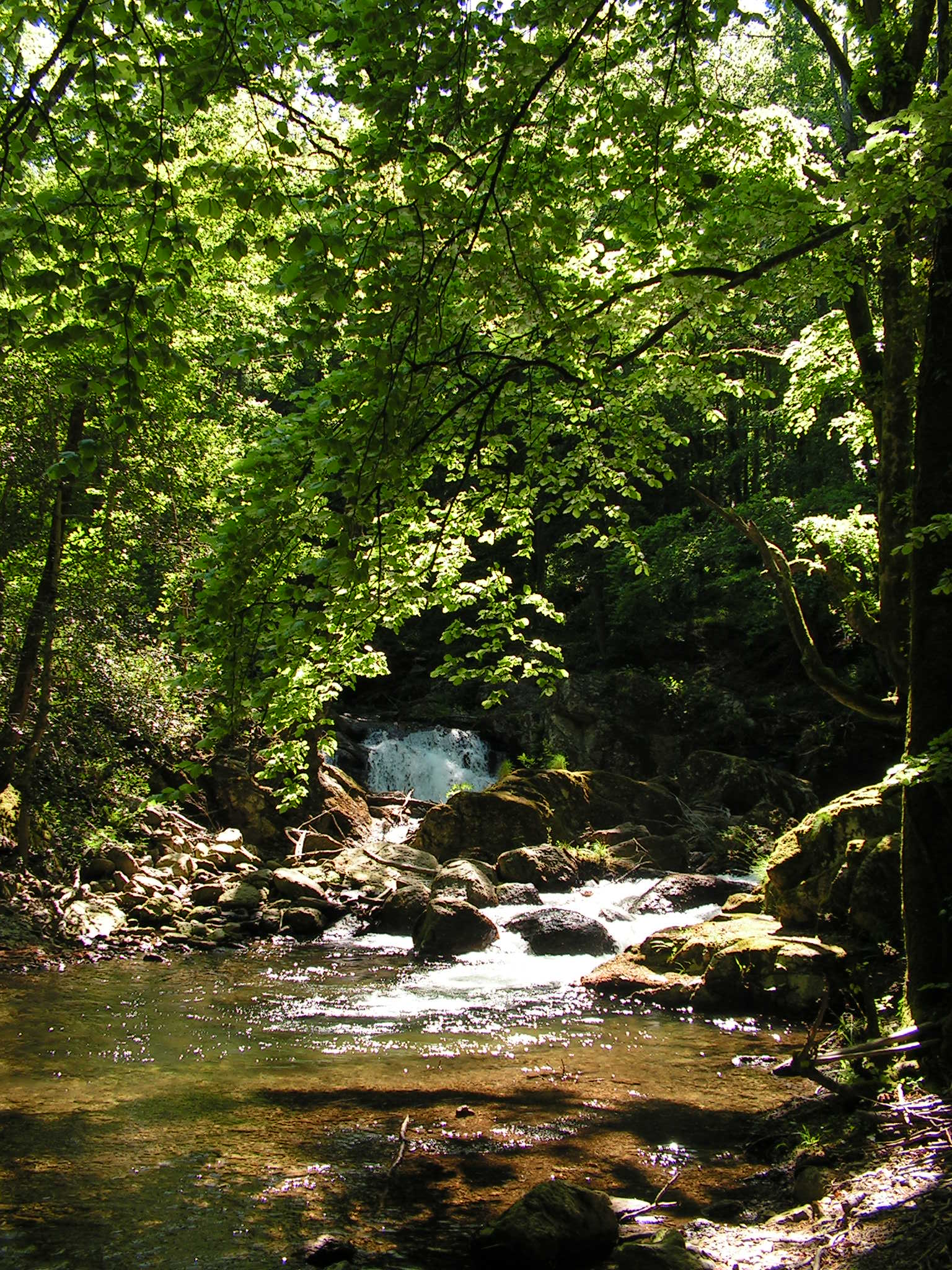 Candesoubre