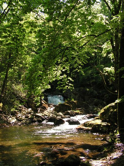 Candesoubre