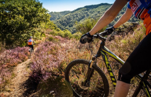 Enduro