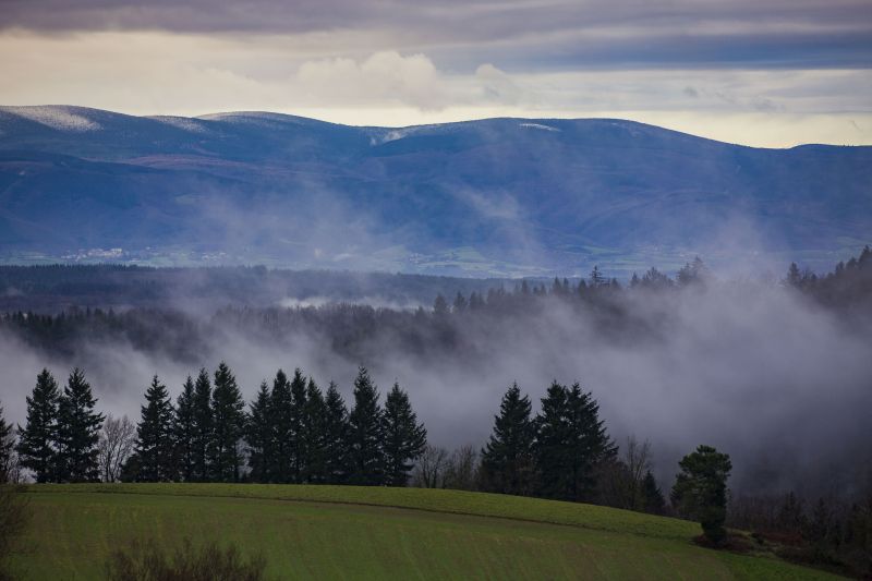Vue sur la vallée du Thoré