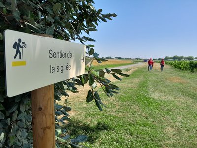 Sentier de la Sigillée