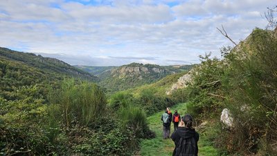 Paysage typique de Mont-Roc, entre roches et forêt