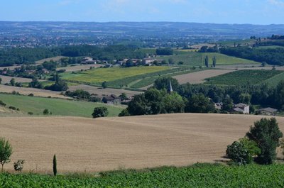 Vue sur le vignoble Gaillacois