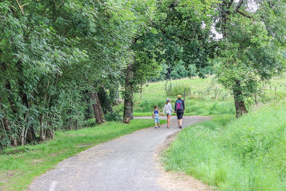 Famille randonnant sur un chemin ombragé