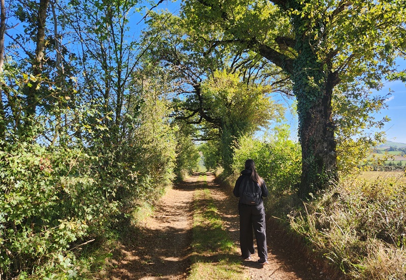 Ombre et soleil, un sentier varié