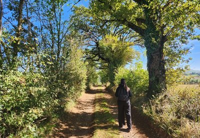 Ombre et soleil, un sentier varié
