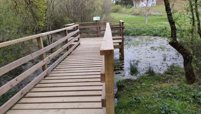 Ponton de la mare