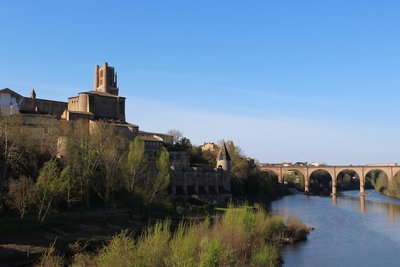 Albi