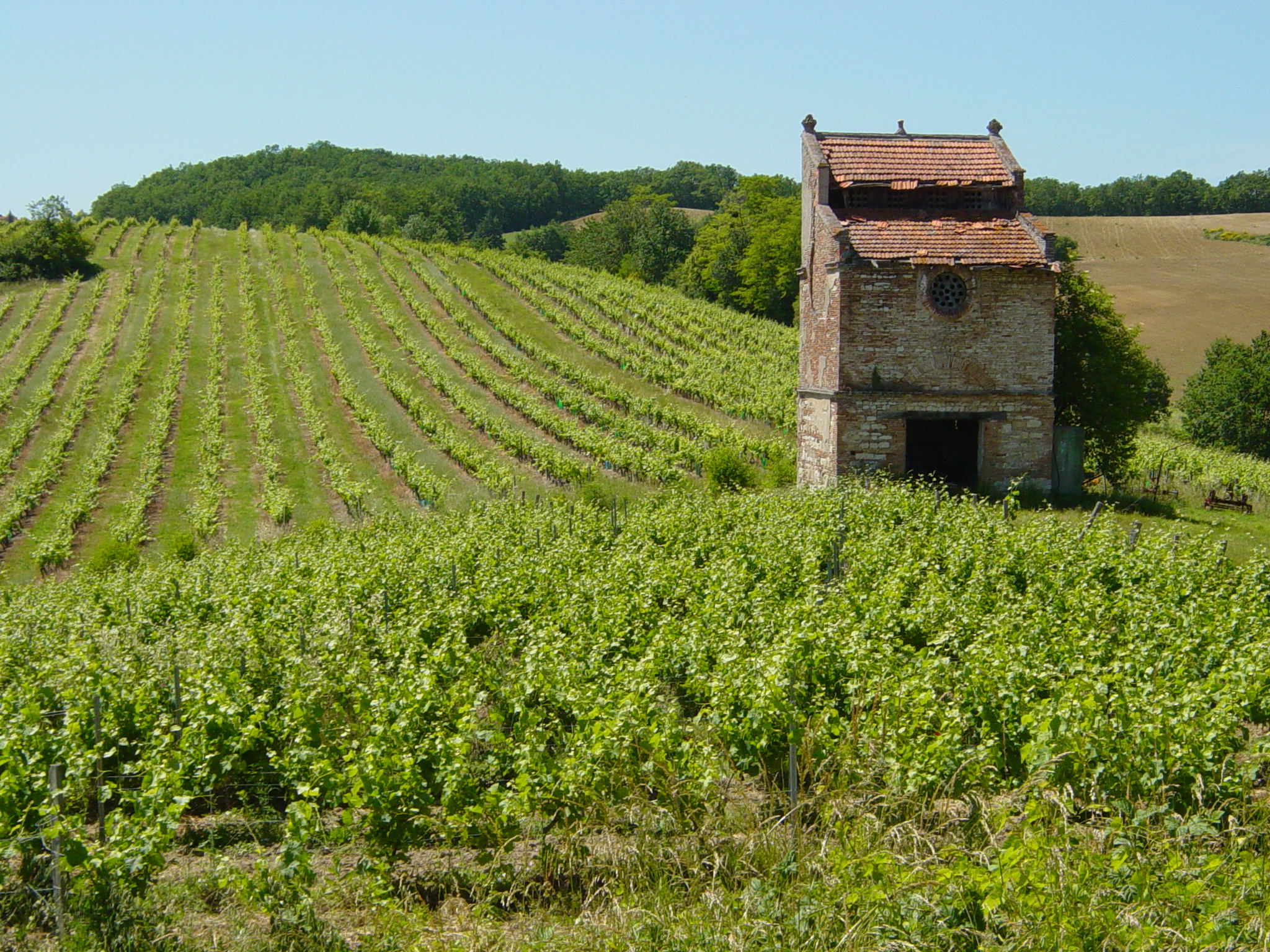 Paysage Gaillacois