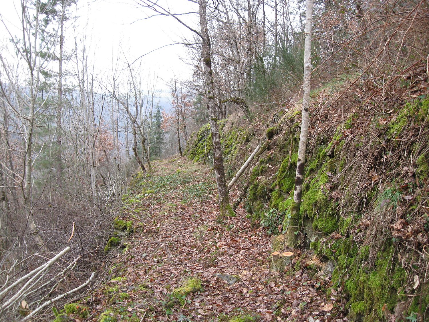 Sentier