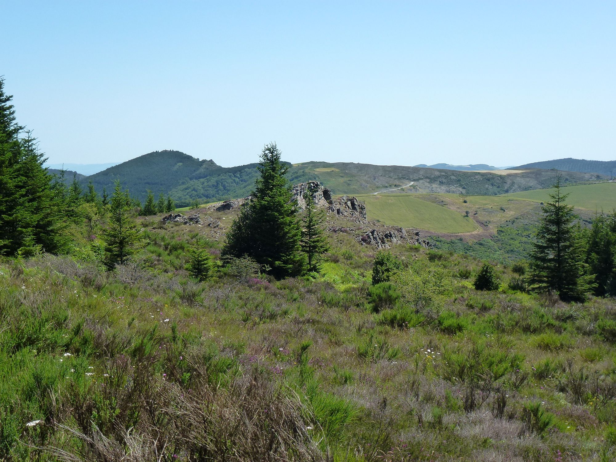 Paysage Mont de Lacaune