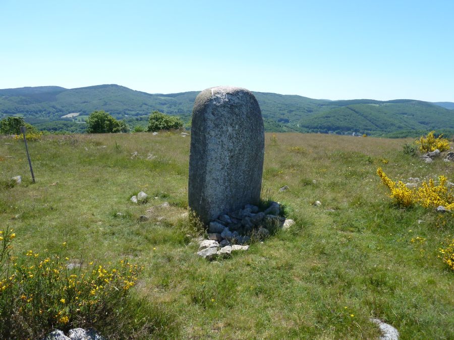 Statue menhir