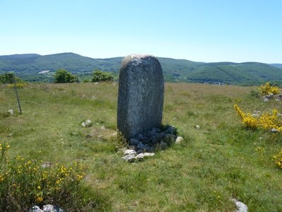 Statue menhir