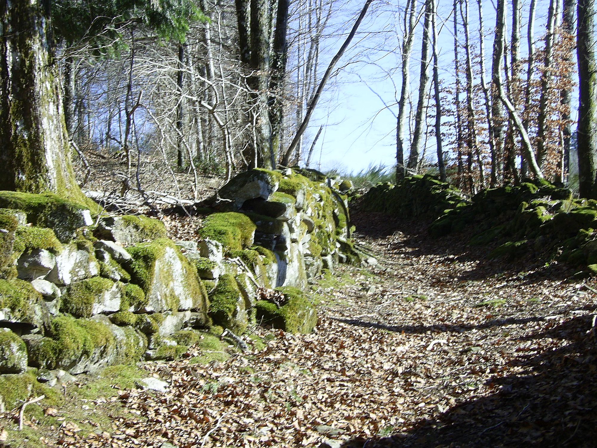 Muret de pierres sèches
